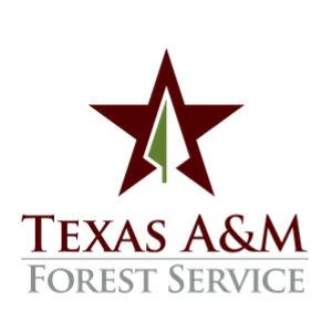 stacked logo Texas A&M Forest Service